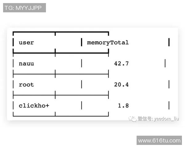 武汉篮球队控制体系的战术解析与实践探索 武汉篮球队控制体系的战术解析与实践探索