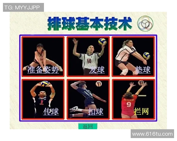 北京排球队灵活性对比分析揭示战术优势与发展潜力