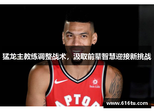 猛龙主教练调整战术，汲取前辈智慧迎接新挑战
