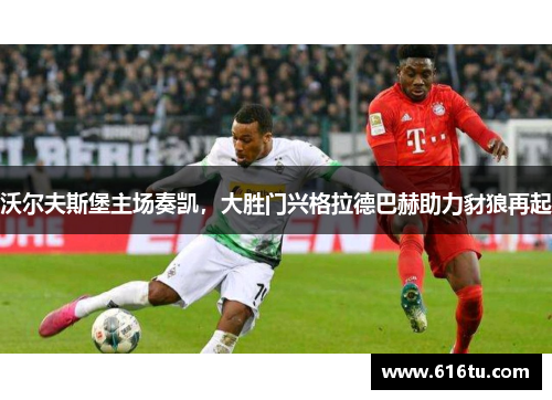 沃尔夫斯堡主场奏凯，大胜门兴格拉德巴赫助力豺狼再起