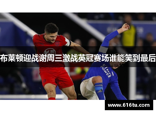 布莱顿迎战谢周三激战英冠赛场谁能笑到最后